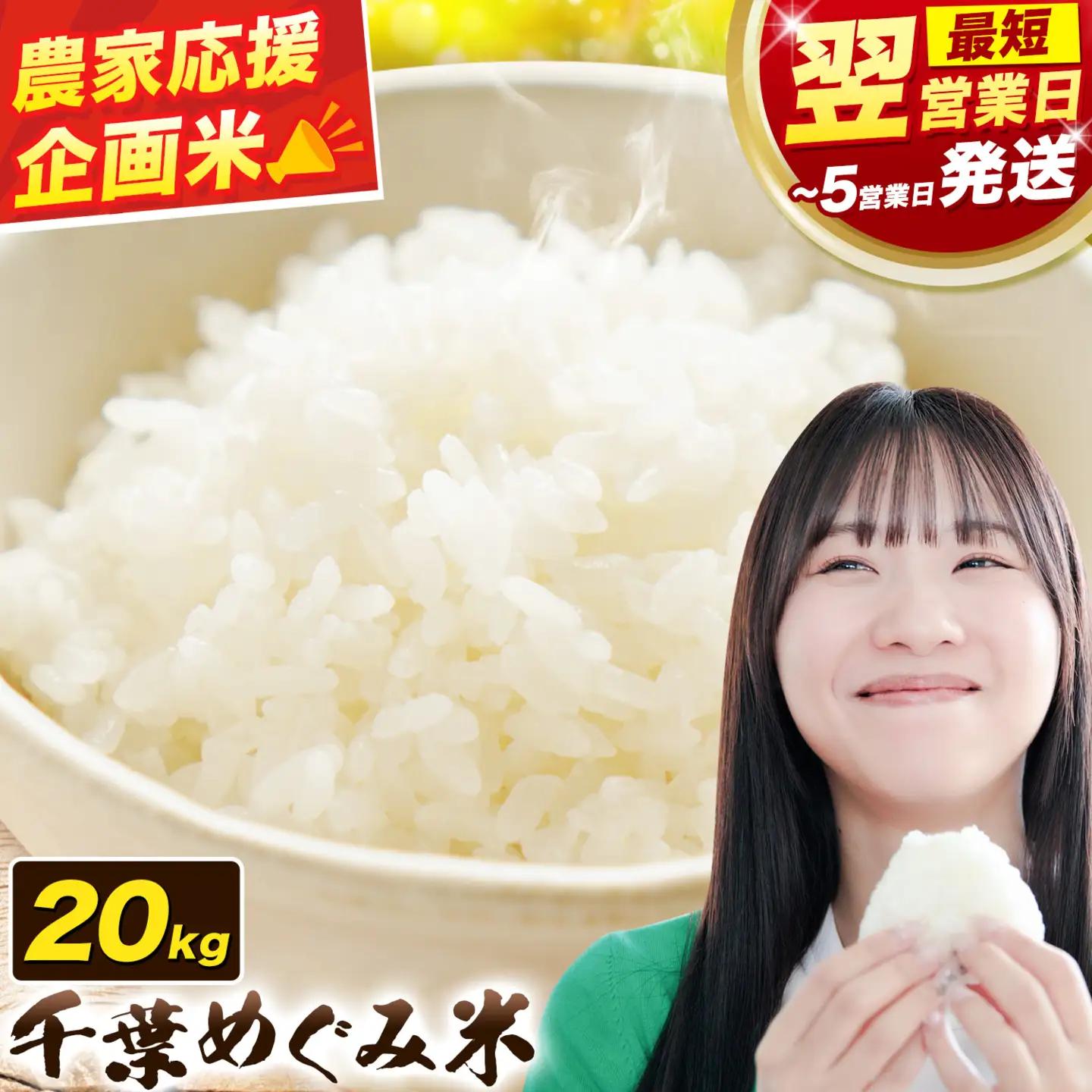 米 精米 千葉めぐみ米 20kg 千葉県産