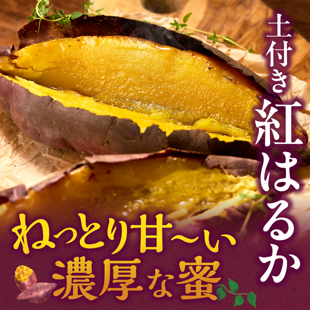【先行予約】石狩産 土付サツマイモ 紅はるか（S〜3Lサイズ混在） 3kg【10月発送】 | さつまいも サツマイモ 芋 北海道 石狩市