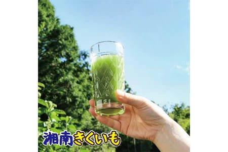 湘南ご当地青汁【湘南きくいも】きくいも青汁40包