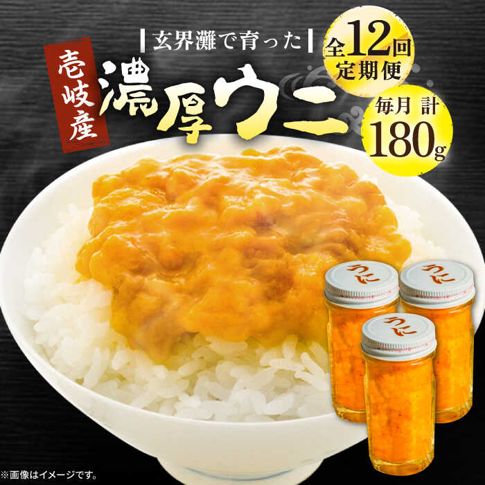 【ふるさと納税】【全12回定期便】壱岐産 濃厚 ウニ 60g ×3本《壱岐市》【合同会社塚元】ムラサキウニ 海産物 海鮮 うに 雲丹 珍味[JDR040] 500000 500000円 50万円