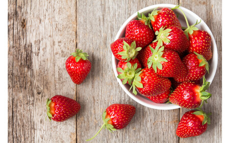 こだわり栽培　いちご　【食べ比べ】　はるひ（1pac) x　おいCベリー(1pac)【2025年12月～2026年4月末までお届け】