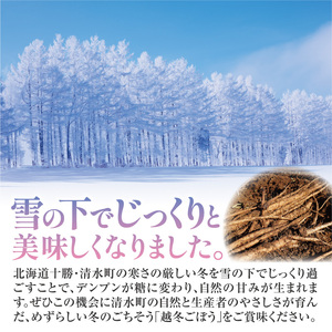 北海道十勝清水町産 越冬ごぼう 5kg【2026年春発送予定】牛蒡 ゴボウ