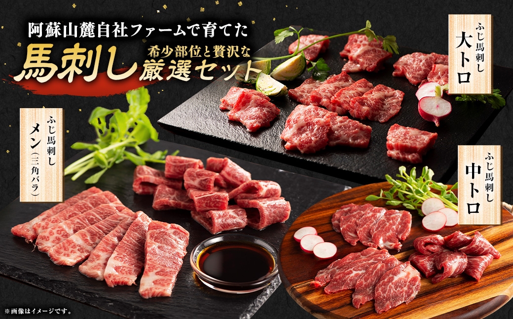 霜降り馬刺しと赤身の贅沢6種セット