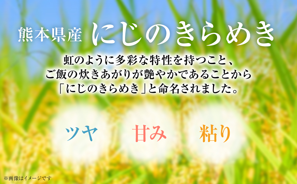 【令和7年産】 《新米》 熊本県産 にじのきらめき10kg（5kg×2袋） 新米 米 お米 精米 白米 ごはん ご飯 熊本