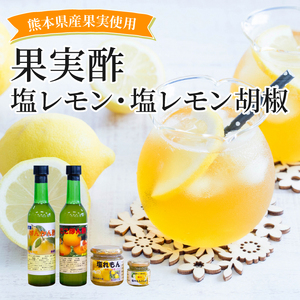 34-9　果実酢２本、塩レモン、塩レモン胡椒 セット（C）