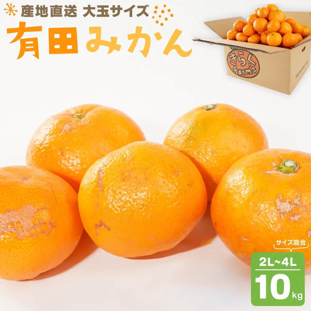 有田みかん 大玉サイズ 2L～4L サイズ混合 約10kg みかん 喜楽farms 【2026年12月以降順次発送】