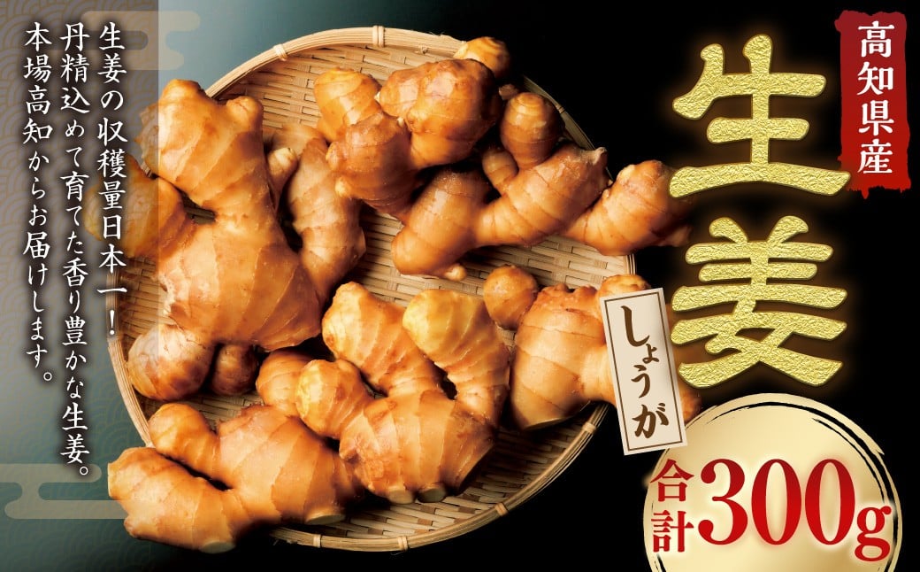
            高知県産 香り大生姜 300g ／ 大生姜 生姜 しょうが 野菜 ジンジャー 薬味 高知県 香美市 常温
          