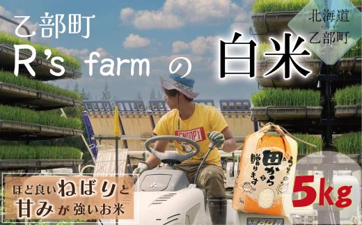 
                  【北海道の米（５kg）】＜～もっちり柔らか！若手農家が作る米～ 米 国産米 北海道 道産 道産米 ＞
                