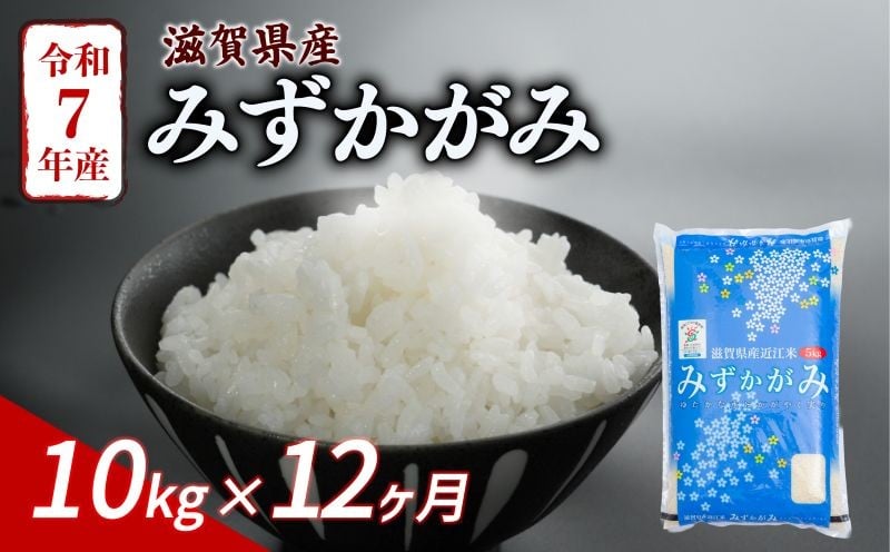 
            みずかがみ 10kg 12ヶ月定期便 令和7年産 米 こめ ご飯 米 定期便 12回定期便 12か月定期便 12回 12か月 10キロ 令和7年 滋賀 彦根
          