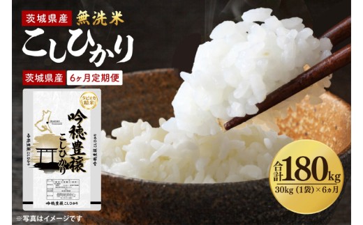 【6ヵ月定期便】＜令和8年産 ＞新米無洗米こしひかり 30kg（1袋）×6ヵ月（茨城県産）精米 コシヒカリ こしひかり 米 ごはん コメ お米 白米 国産 茨城県産