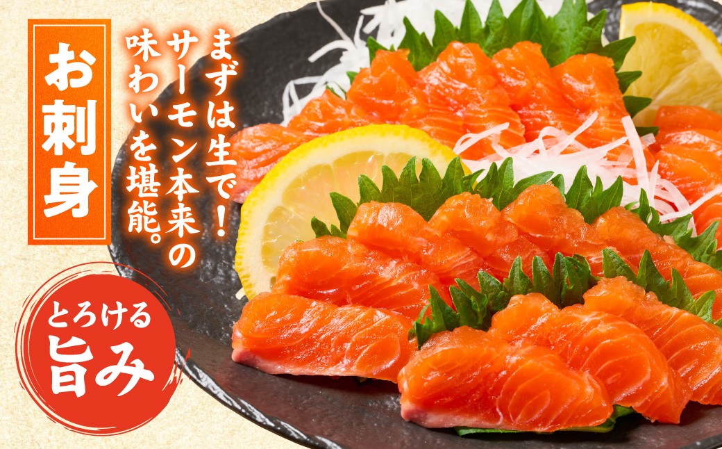 【お刺身】まずは生で！サーモン本来の味わいを堪能。