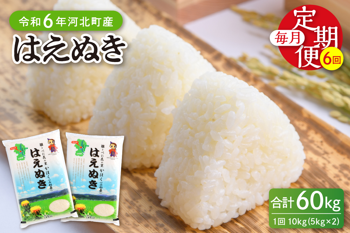 【令和6年産米】※2025年3月下旬スタート※ はえぬき60kg（10kg×6ヶ月）定期便 山形県産 【JAさがえ西村山】