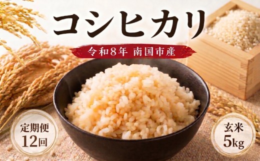 【12回定期便】令和8年度 南国市産 コシヒカリ 玄米 5㎏ | 先行予約 新米 数量限定 米 コメ お米 ご飯 おにぎり こめ 弁当 高知県 南国市