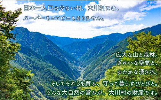 大川村土佐はちきん地鶏まるごと一羽おためしセット 計約1kg