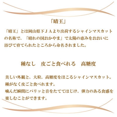 【2024年8月下旬より発送】ご家庭用　岡山県産　シャインマスカット　晴王　500g×2房【配送不可地域：離島】【1409698】