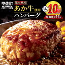 【ふるさと納税】【毎月お届け】熊本名物のあか牛ハンバーグ150g×10個★便利な個包装★【定期便12カ月コース】