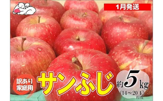 
【1月発送】白熊 訳あり家庭用 サンふじ 約5kg 糖度13度【弘前市産 青森りんご】
