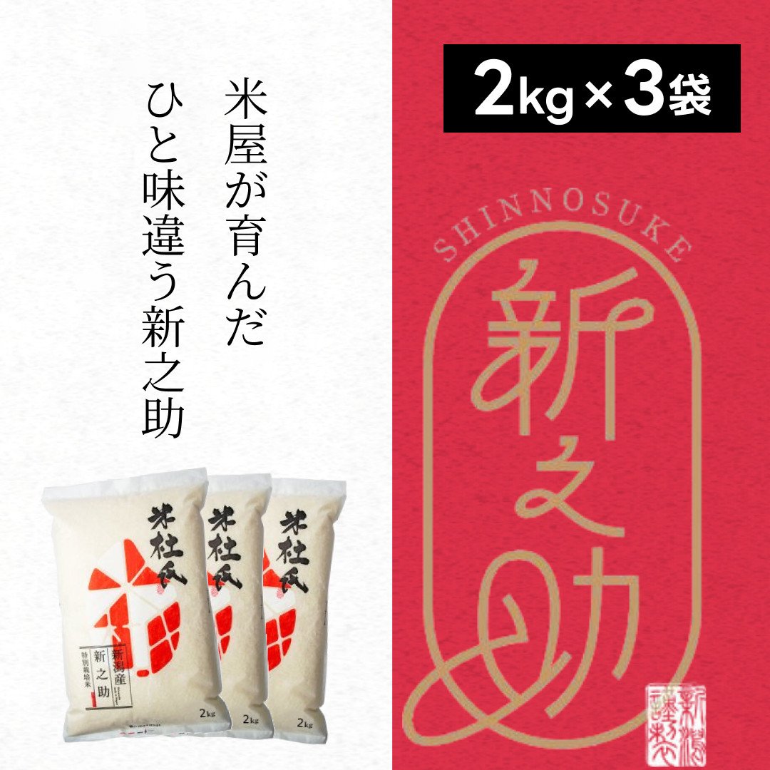 
特別栽培米 新之助 6kg (2kg×3袋) 米杜氏 壱成 白米 精米 大粒 つや 光沢 弾力 芳醇 1H01014
