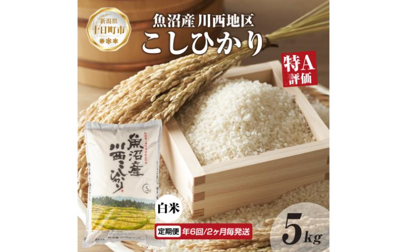 【令和8年産 先行予約】定期便 年6回2ヵ月毎 魚沼産 川西 こしひかり 5kg 精米 米 コメ お米 ごはん ご飯 白米 炊き立て ブランド米 コシヒカリ 魚沼 人気 国産 産地直送 お取り寄せ 送料無料 新潟県 十日町