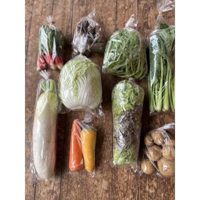 ふるさと納税 香取市 栽培期間中、農薬不使用季節のお野菜セット　9種程度 (目安3〜4人家族用) |  | 01