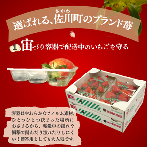 いちご　ゆめのか 250g×4パック　秀品　苺【期間・数量限定】贈答用　＜2027年1月下旬～3月下旬頃発送予定＞