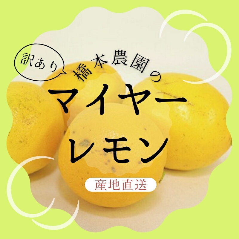 【ふるさと納税】 ＼選べる容量／ 【先行予約】橋本農園の 訳あり マイヤーレモン【3kg・5kg・10kgから選べます】【2025年12月中旬〜2026年1月中旬までに順次発送】 / レモン マイヤーレモン 檸檬 果物 くだもの フルーツ 産地直送 国産 数量限定 家庭用 ご家庭用 訳あり