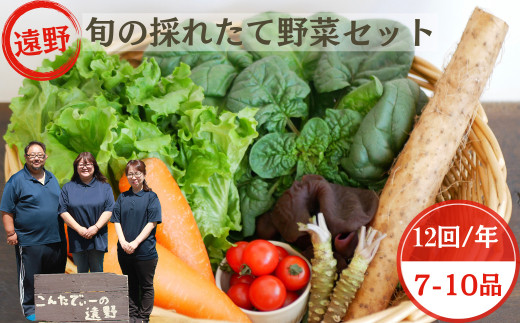 【 12回 定期便 】 旬 採れたて 野菜 詰め合わせ セット （7～10品）レギュラーサイズ【 こんたでぃーの遠野 】