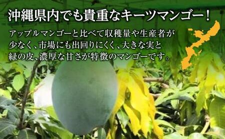 【先行受付】【2024年発送】キーツマンゴー 南城市 約1.5kg (1～2玉)