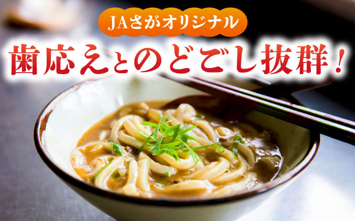 【佐賀県産小麦100％使用】さがカレーうどん 計16袋（めん、スープ付き） / 佐賀県 / さが風土館季楽 [41AABE082]