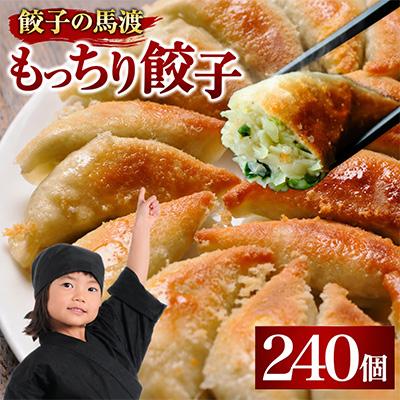 ふるさと納税 高鍋町 【JAPAN餃子大賞2026 通販餃子最高金賞受賞】馬渡のもっちり餃子240個
