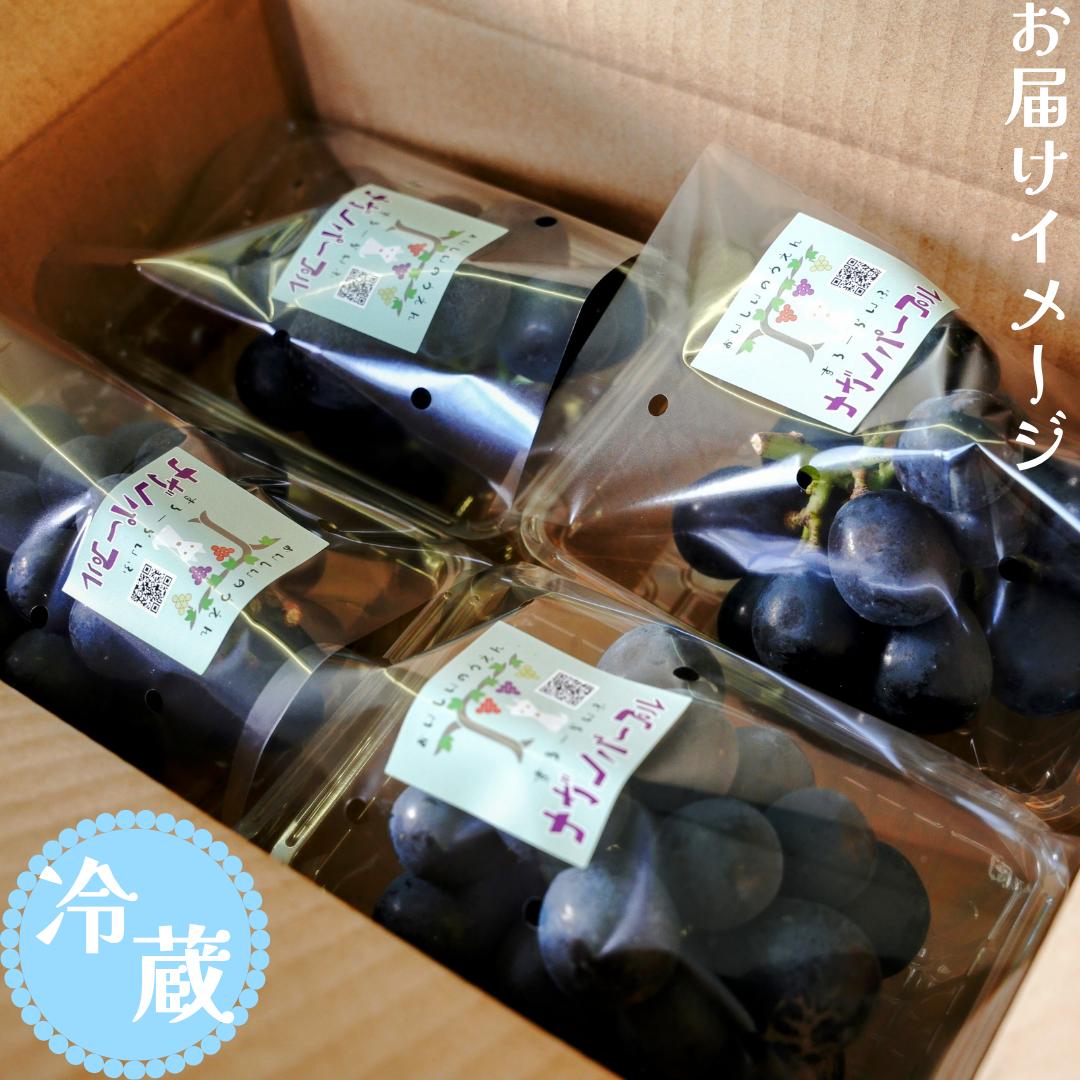 ナガノパープル　8パック（360g×4パック×2箱)