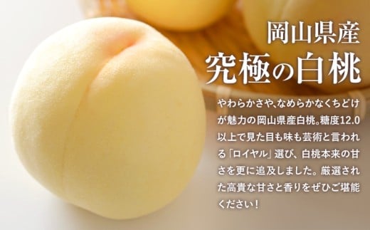 【先行予約】岡山県産 岡山白桃 ロイヤル L~ 3Lサイズ シャインマスカット 計 1kg 詰合せ 株式会社 はちや《7月上旬‐8月下旬頃出荷》もも 岡山 国産 フルーツ 果物 岡山県 浅口市 フルー