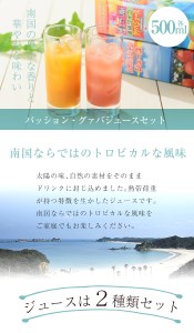 n025 南国種子島のパッション・グァバジュースセット(合計2本・各500ml)鹿児島 種子島 南国 希釈タイプ 飲料 ドリンク ジュース 果物 フルーツ 国産【菓心利休】