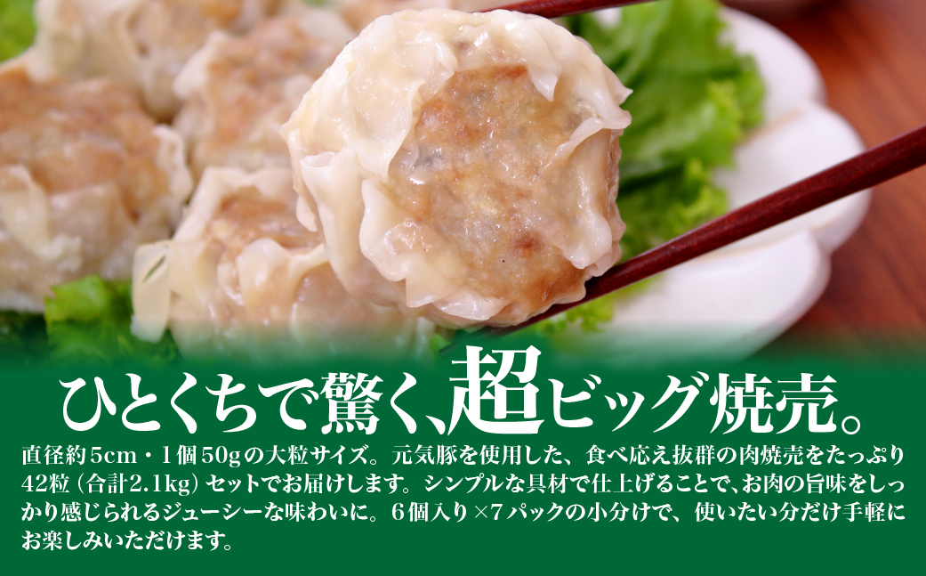 【毎月定期便】元気豚 大粒肉焼売セット 42個セット(計2.1kg)全6回【配送不可地域：離島・沖縄県】【4055282】 TAKB064