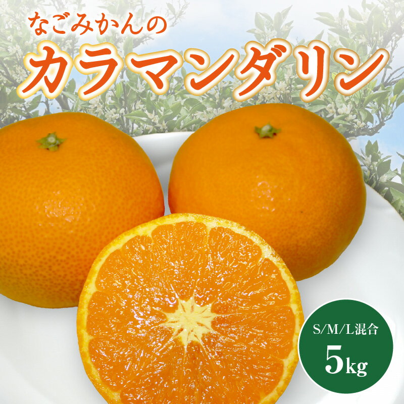 【ふるさと納税】なごみかん カラマンダリン 5kg 春頃発送【果汁が濃厚で、果肉たっぷり】