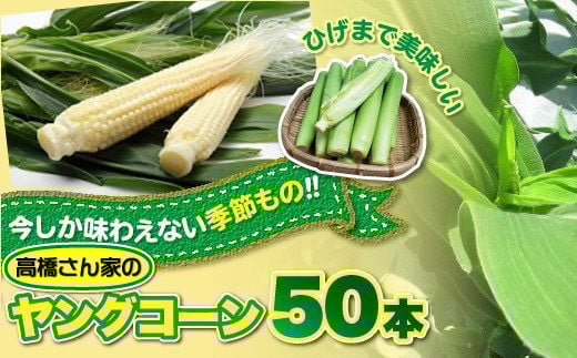【予約受付 2026年 6月下旬発送開始予定】髙橋さんの ヤングコーン 50本 国産 野菜 岩手県 北上市 夏 旬 季節限定 やさい ベビーコーン C0233
