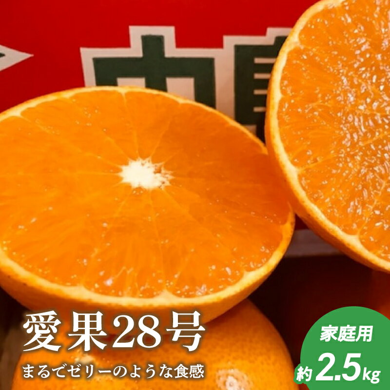 【ふるさと納税】 愛果28号〈家庭用 約2.5 kg〉先行予約｜12月上旬より発送｜紅まどんな同品種 高糖度みかん フルーツ ギフト 数量限定 愛媛県 松山市 田村農園