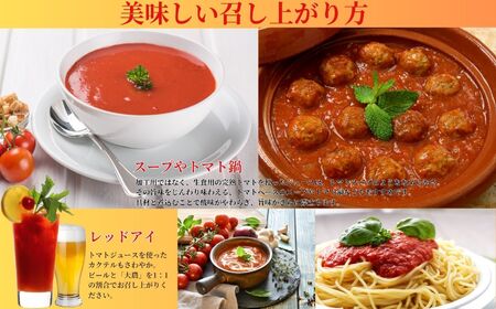 樹上完熟トマトジュース 『大農 』1L２本×12回 年間定期便