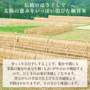《数量限定》令和７年産 はさがけ米 精米5kg 富山県 氷見市 米 コシヒカリ こしひかり