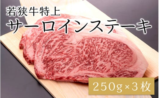 
厚切り！ 若狭牛特上サーロインステーキ 250g × 3枚 [E-1803]
