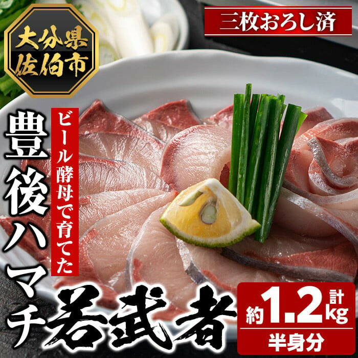 【ふるさと納税】豊後ハマチ 若武者(三枚おろし半身) ハマチ はまち 鮮魚 旬 刺身 三枚おろし 国産 大分県 佐伯市 特産品 さしみ【GS003】【浪井丸天水産】