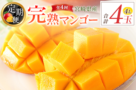 【定期便 完熟マンゴー】2027年出荷 4L×1玉 全4回 果物 フルーツ E221-27