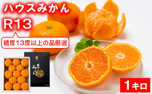 【糖度13度以上！】[プレミアムハウスみかんR13] 1kg 化粧箱入 みかん 温州ミカン 1kg 甘い 秀品 柑橘類 糖度 6月 7月 ハウスみかん フルーツ 先行予約 九州 大分 杵築 ＜132-013＞