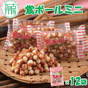 【ふるさと納税】【ファミリーパック】鶯ボールミニ×12袋《 米菓 スイーツ お菓子 食品 無添加 お取り寄せ 国産 送料無料 鶯ボールミニ 》