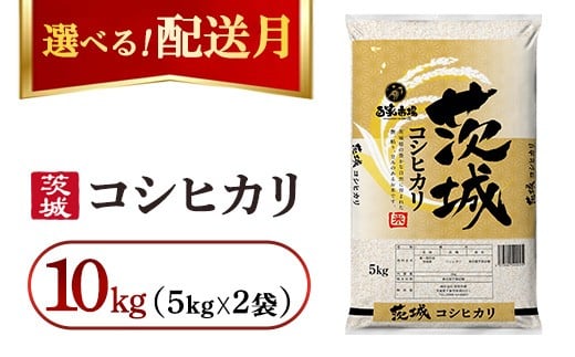 【発送月が選べる】令和7年産　こしひかり 10kg（5kg×2袋）【2026年1月発送】｜ お米・コシヒカリ・精米