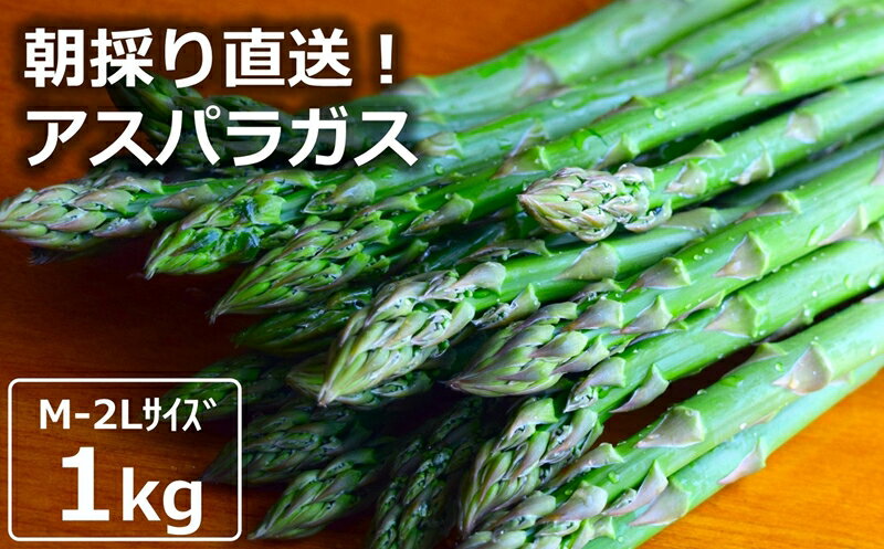 【ふるさと納税】【先行予約・令和7年4月～発送】やたらうんめぇ アスパラガス 1kg M～2Lサイズ混合 水田環境鑑定士在籍【数量・期間限定】【 新潟県 柏崎市 】