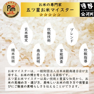 【入金確認後、最短5日で出荷】 【令和7年産】いわてっこ(精米) 岩手県遠野市産 5kg 河判【1702590】