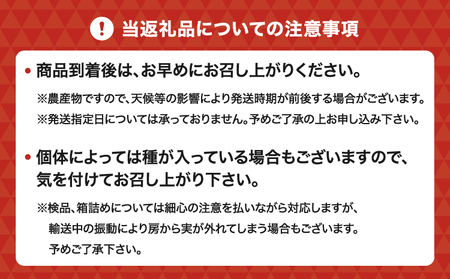 巨峰 7月のぶどう屋さん 種なし巨峰 2kg 5～6房入 松川果樹園 種無し巨峰 種なし たねなし きょほう ぶどう 葡萄 熊本県 宇城市産 冷蔵 送料無料 2025年7月上旬～2025年8月上旬発送