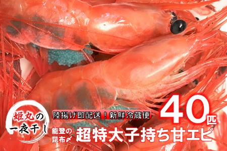 【 2025年9月~10月発送 】 姫丸の子持ち甘エビ40匹丸ごと昆布〆 甘エビ