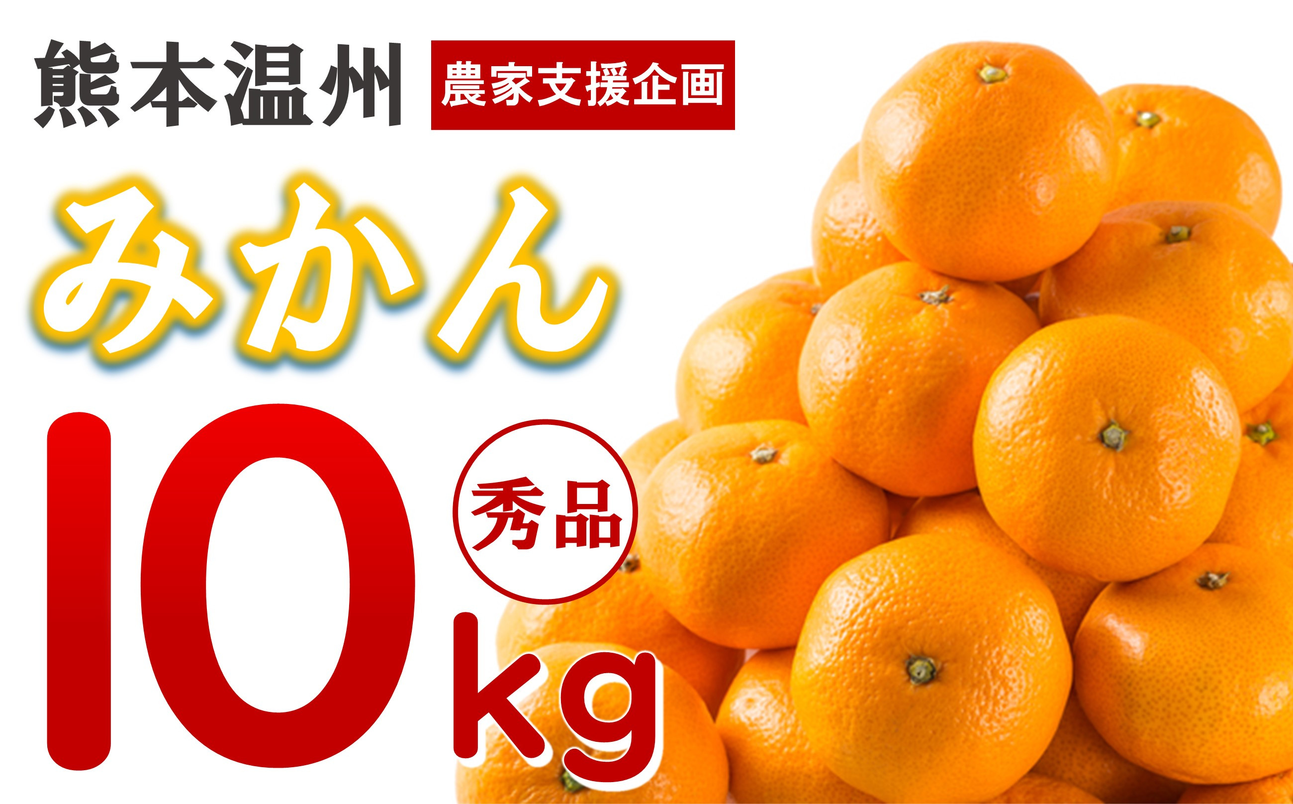 
             【 先行予約 】 温州みかん 和水町産 10kg | みかん ミカン 早生 温州 柑橘 柑橘類 フルーツ 果物 熊本 和水
          
